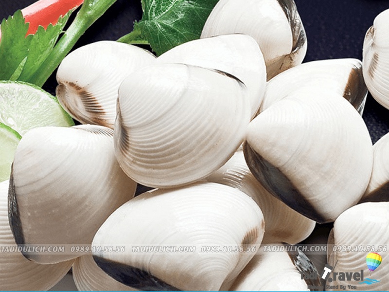 Cách chọn hải sản Sầm Sơn