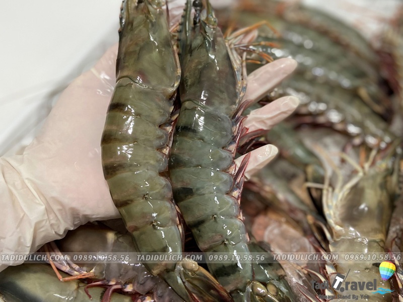 Cách chọn hải sản Sầm Sơn